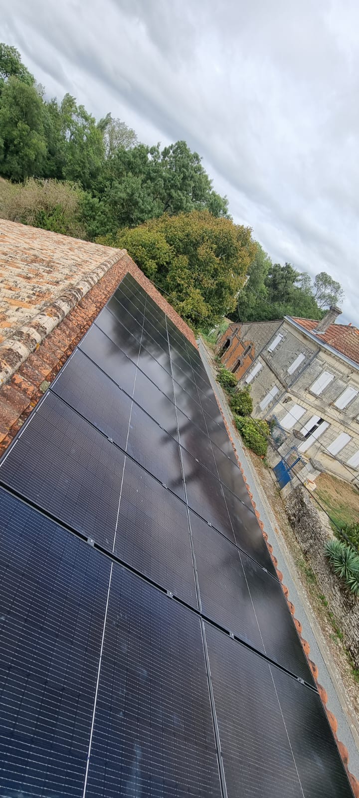 Photo installation 54